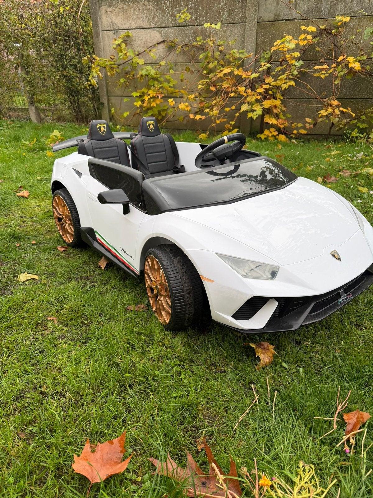 Elektrische kinderauto met dubbelzit, Ophalen, Zo goed als nieuw