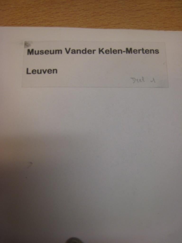 Museum Vander Kelen - Mertens Leuven Deel 1, Antiek en Kunst, Kunst | Beelden en Houtsnijwerken, Ophalen of Verzenden