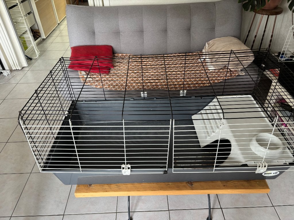 Cage cochon d’Inde/lapin Ferplast, Animaux & Accessoires, Moins de 60 cm, Cage, Enlèvement, Utilisé
