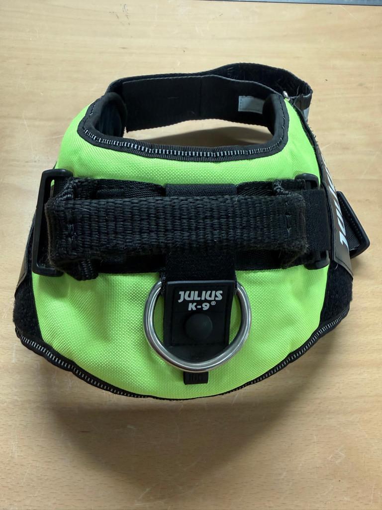 JULIUS K9 XL2 HONDENTUIG, Dieren en Toebehoren, Ophalen, Gebruikt, Hondenriem-accessoire