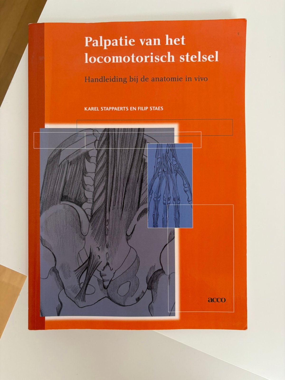 Palpatie van het locomotorisch stelsel, Boeken, Ophalen of Verzenden, Zo goed als nieuw, Hoger Onderwijs