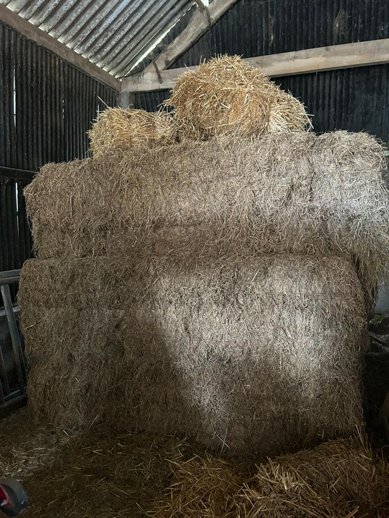 6 grote botten hooi te koop, Zakelijke goederen, Landbouw | Veevoer, Ophalen