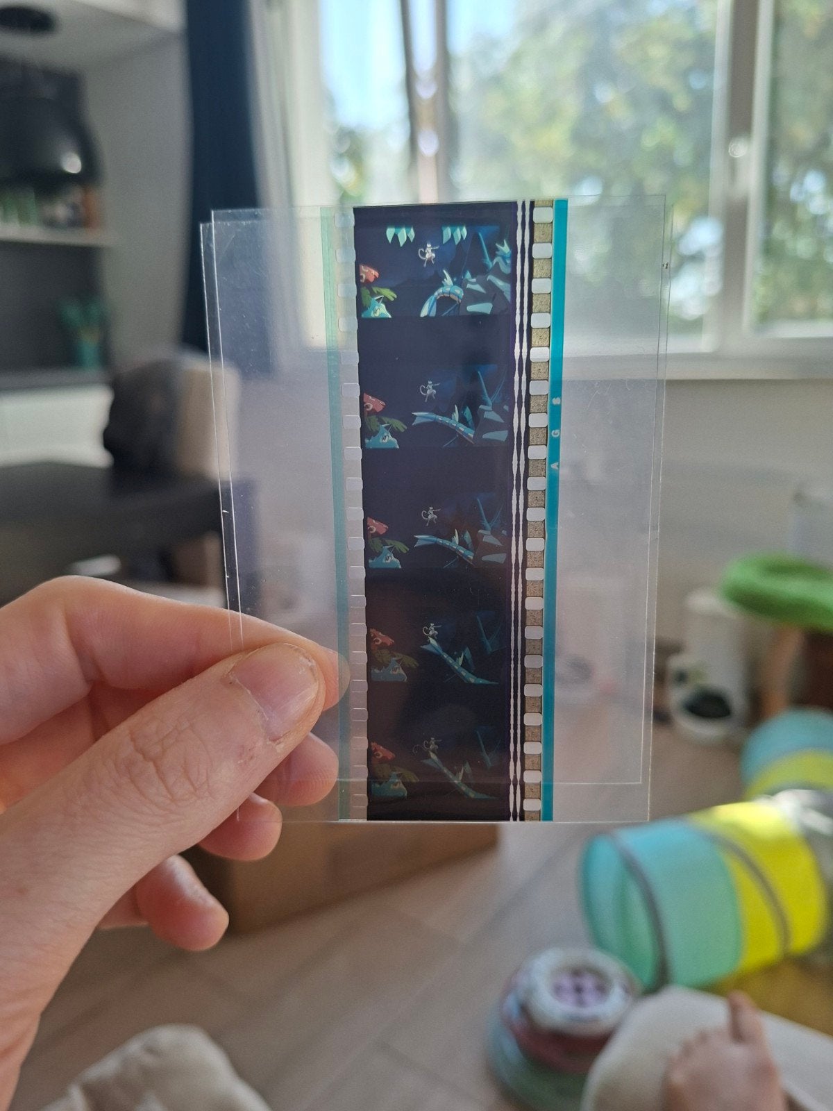 Pellicule film Pokémon Mewtwo, Venusaur, Léviator/Gyarados