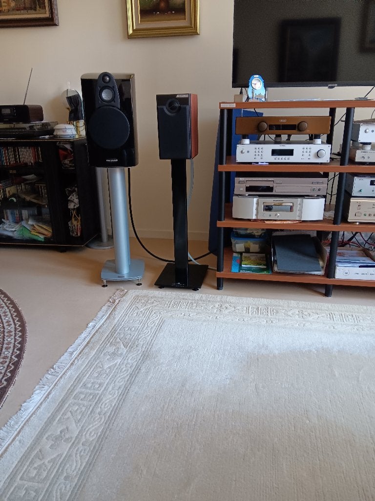 Voortreflijk spelende Standmound, Zo goed als nieuw, 60 tot 120 watt, Front, Rear of Stereo speakers, Ophalen