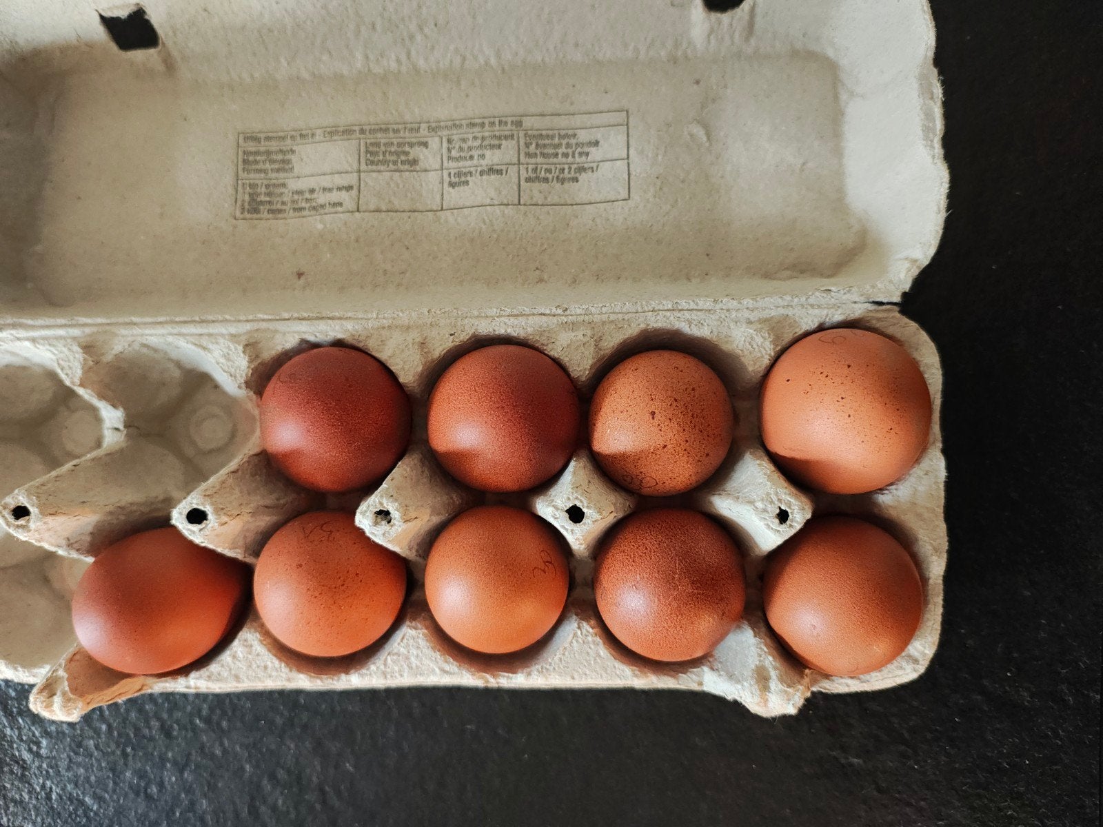 Marans broedeieren kopernek zwart en kopernek blauw, Ophalen of Verzenden