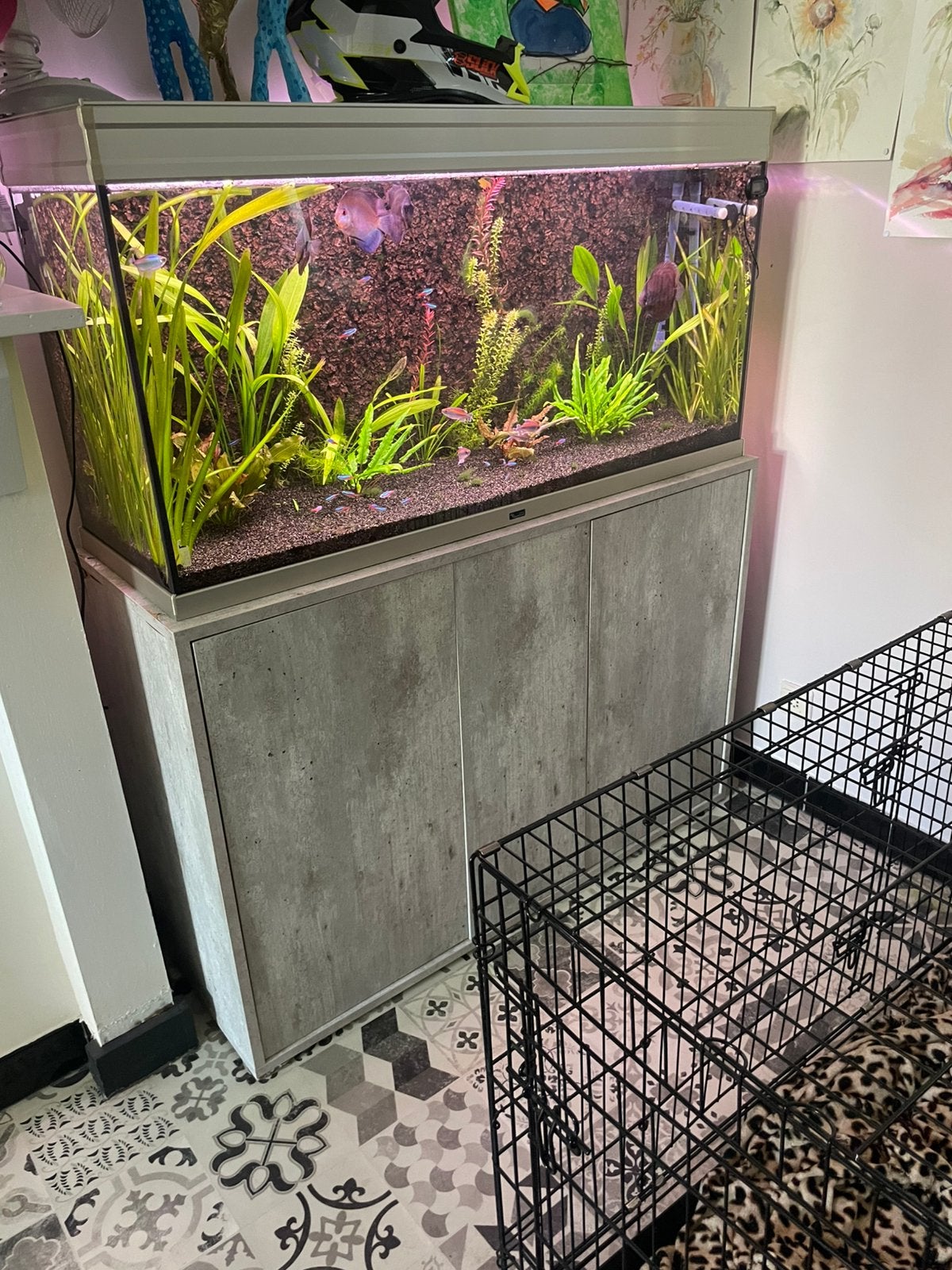 Aquarium 240L, Animaux & Accessoires, Enlèvement, Utilisé, Filter, Tetra
