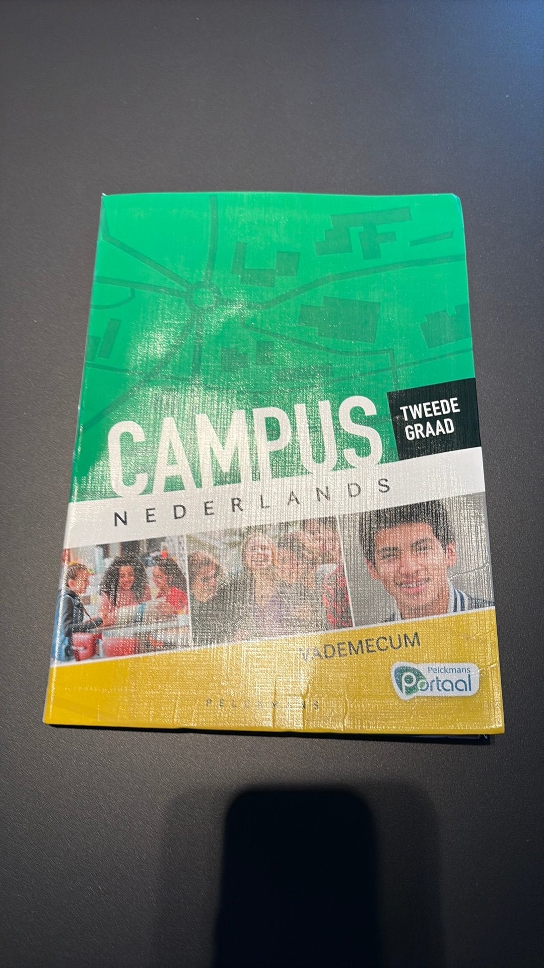 Campis Nederlands tweede graad, Boeken, Ophalen of Verzenden, Zo goed als nieuw, ASO, Nederlands