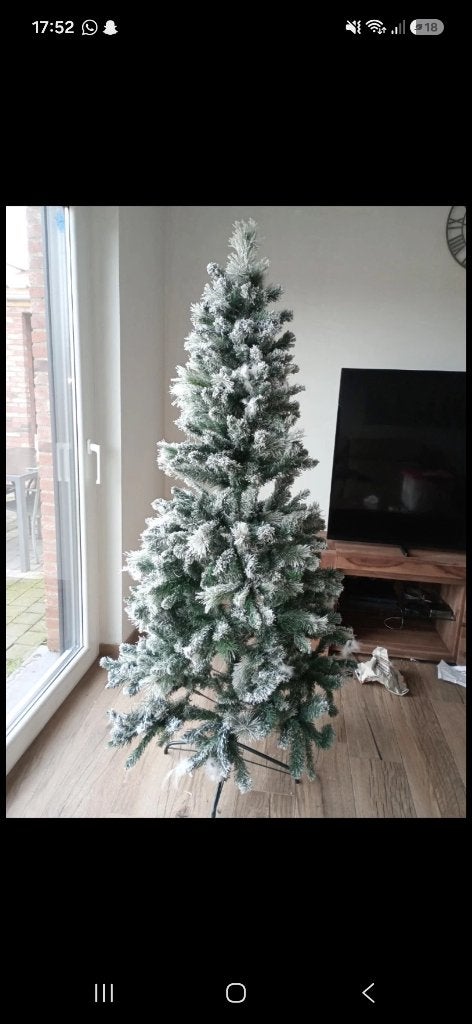 Sapin enneigé, Divers, Enlèvement, Comme neuf