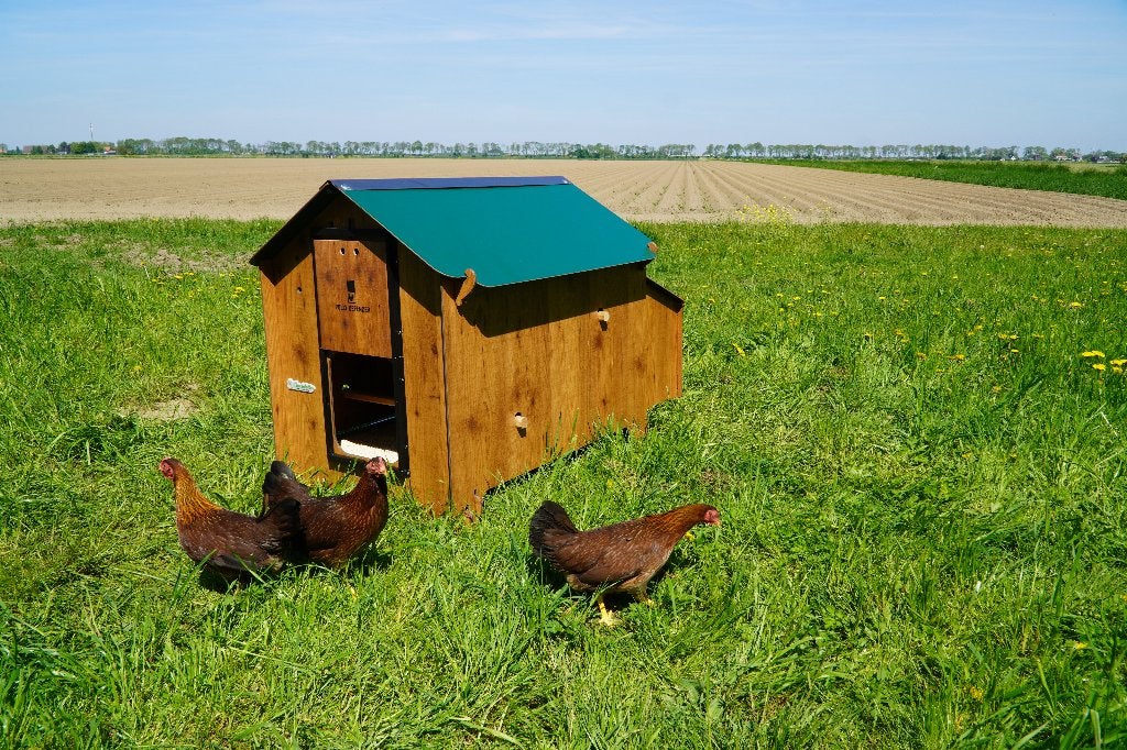 Trespa Kippenhok Cucciolotta Classic L | Grondmodel, Ophalen of Verzenden