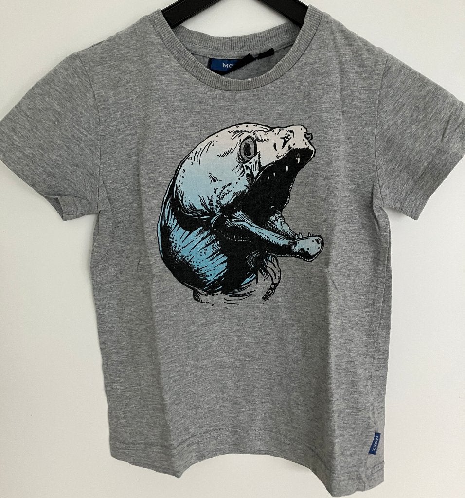 T shirts maat 110, Kinderen en Baby's, Kinderkleding | Maat 110, Ophalen of Verzenden, Zo goed als nieuw, Shirt of Longsleeve