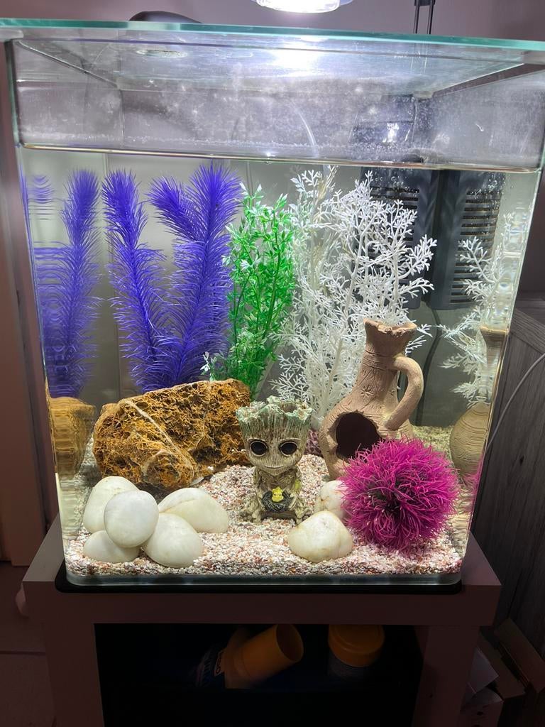 Eheim aquarium 35 liter, Ophalen, Eheim