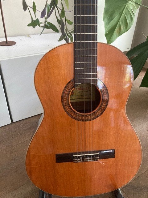 Alhambra klassieke gitaar 1978, Ophalen, Gebruikt, Klassieke of Spaanse gitaar, Met koffer