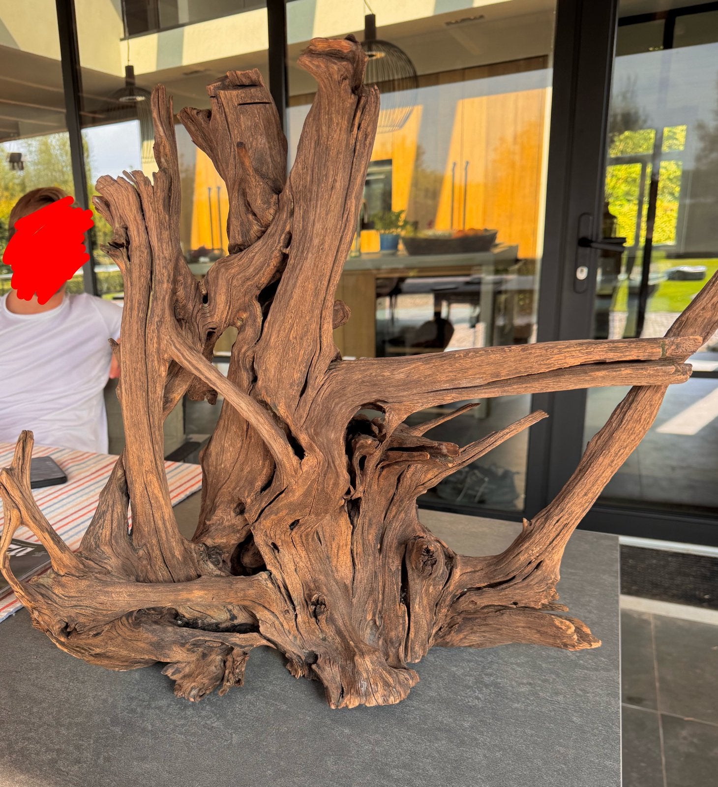 XXL Stuk Kienhout / Spiderwood / Driftwood, Hout Decoratie, Ophalen of Verzenden, Zo goed als nieuw, Decoratie