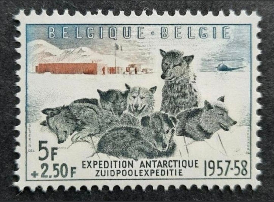 Belgique : COB 1031 ** Expédition Antartiques 1957., Sans timbre, Neuf, Enlèvement ou Envoi, Non oblitéré