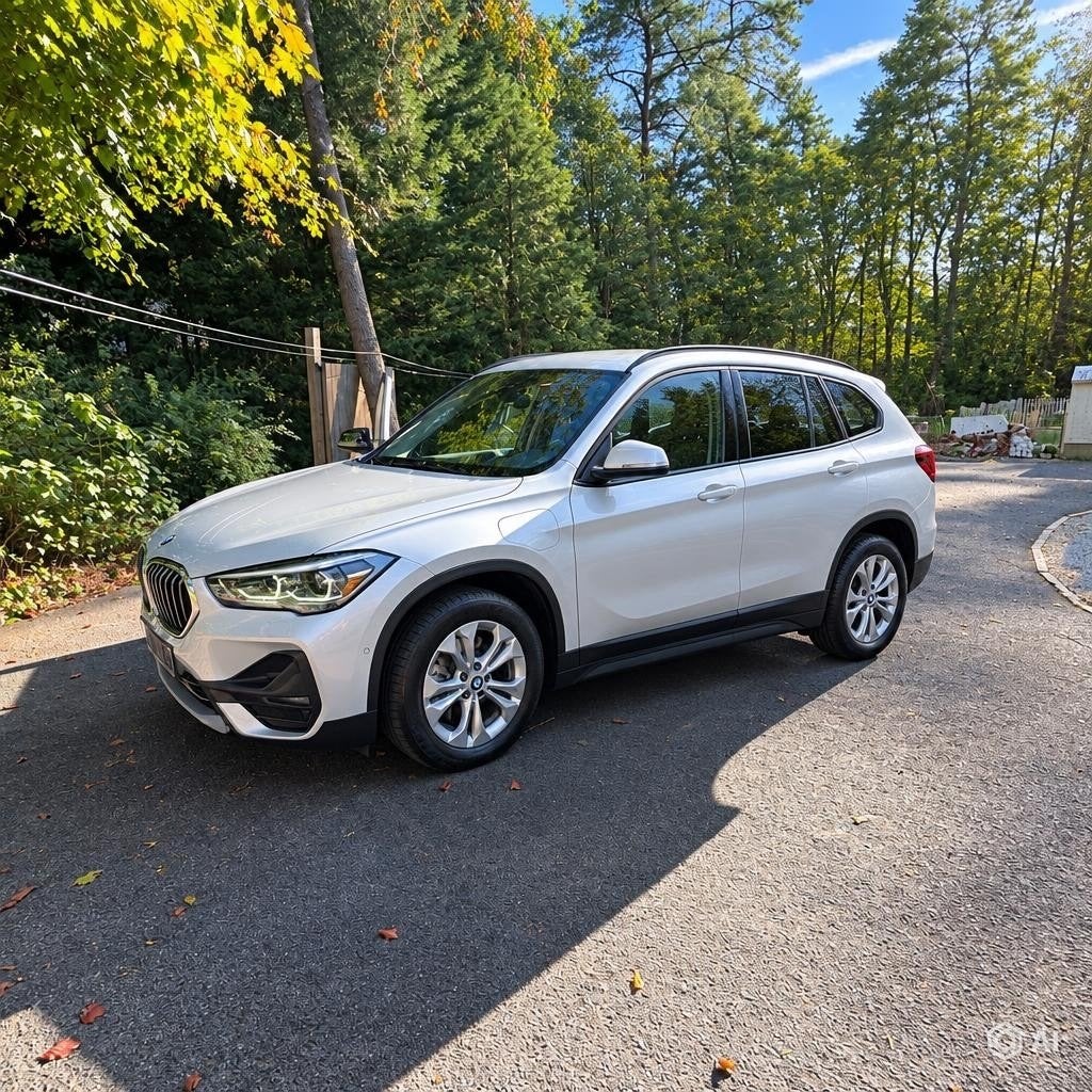 BMW X1, Autos, Argent ou Gris, Achat, Euro 6, Noir