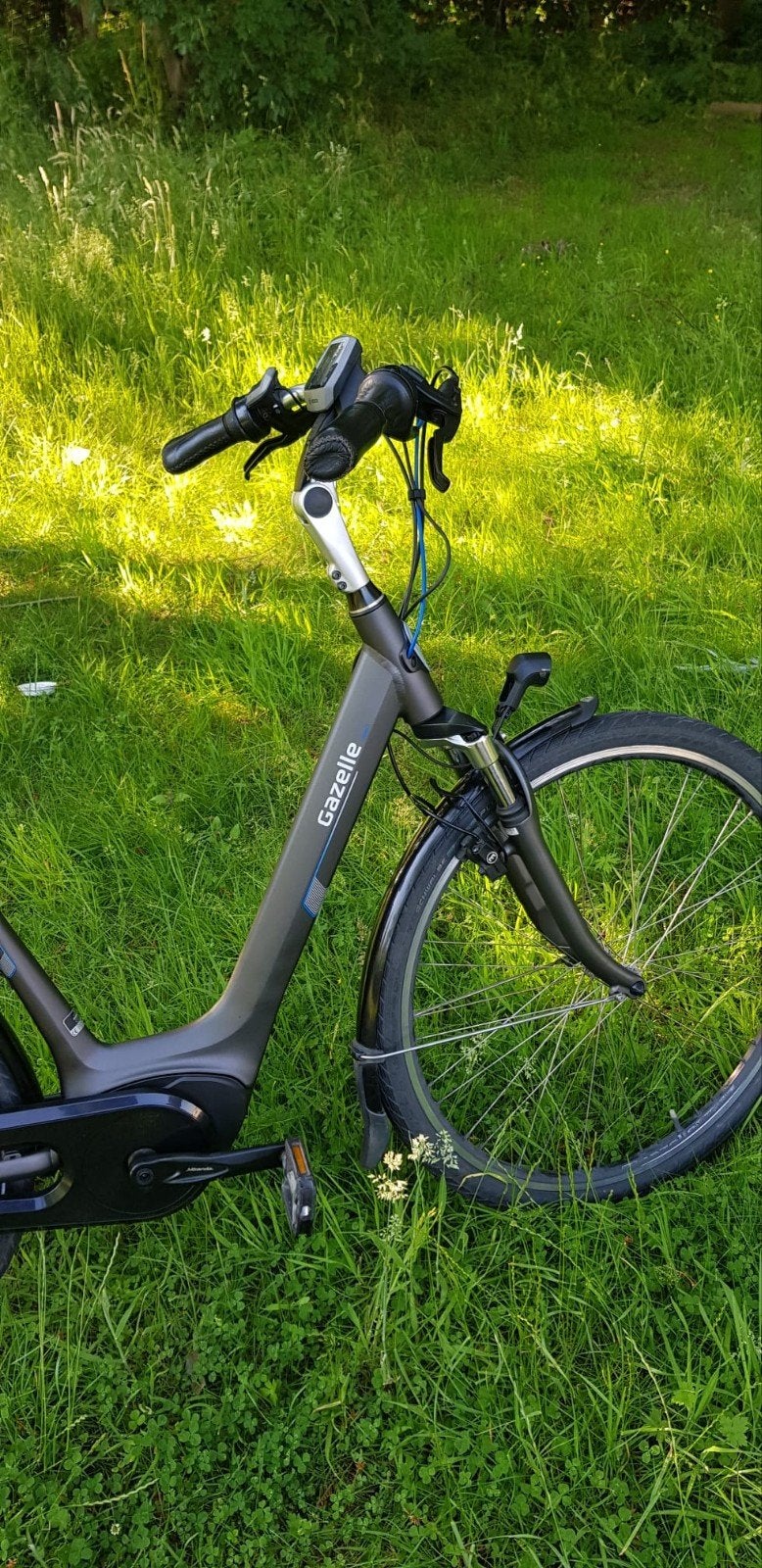 Gazelle Luzern Bosch Middenmotor, Enlèvement, Gazelle