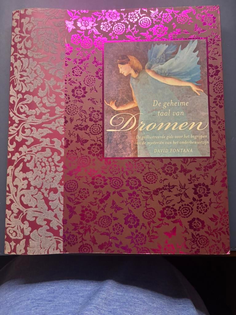 De geheime taal van dromen, Livres, Ésotérisme & Spiritualité, Enlèvement ou Envoi, Comme neuf, Spiritualité en général, Arrière-plan et information