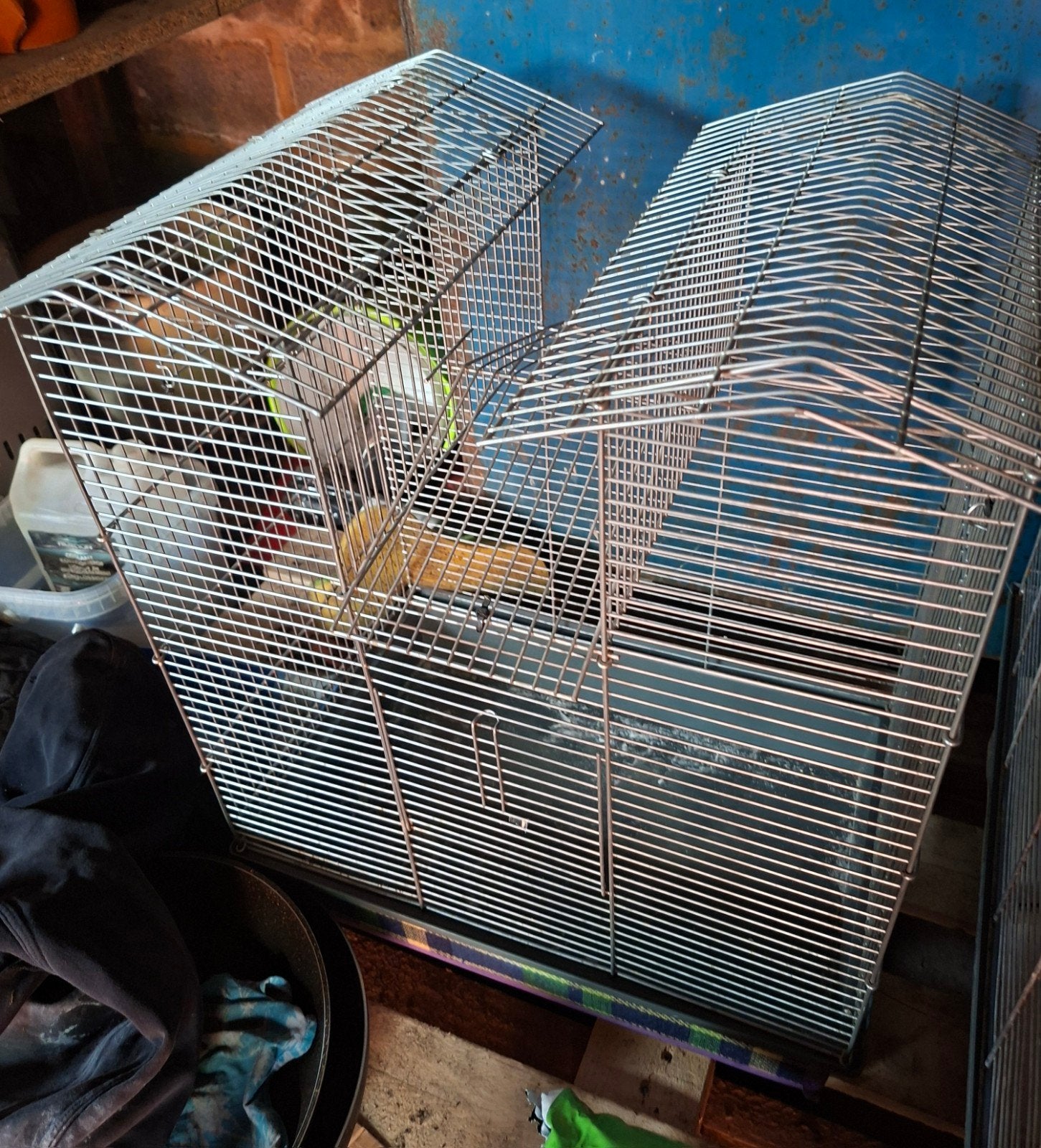 Cage, Enlèvement, Cage