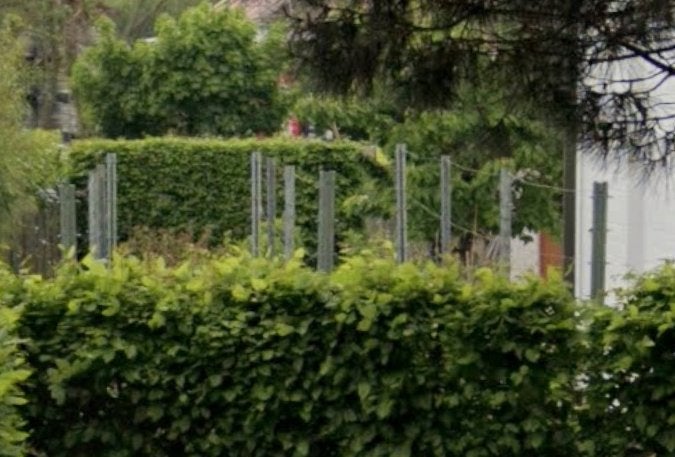 Grondankers en palen (rijenpaal, eindpaal) voor druivelaar, Tuin en Terras, Ophalen, Gebruikt