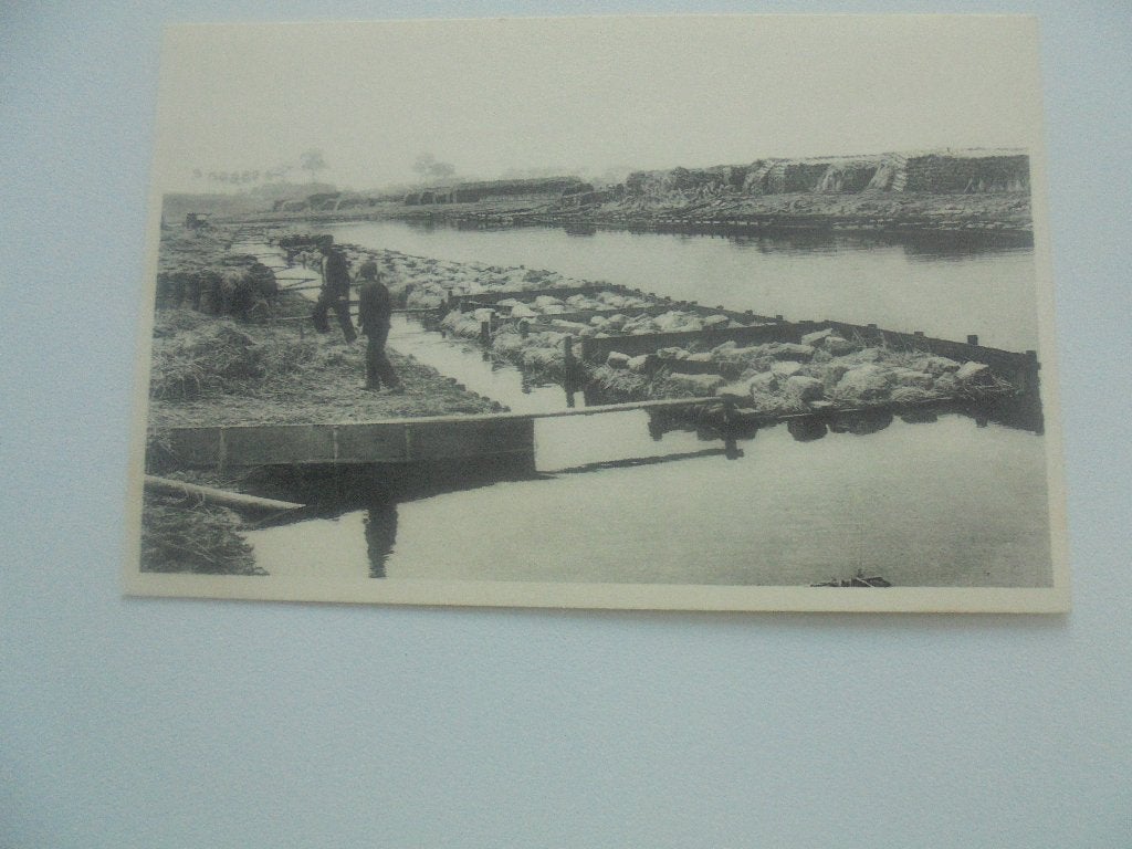 vlasteelt- badende hekkens, Verzamelen, Postkaarten | België, Verzenden, 1920 tot 1940, Ongelopen, West-Vlaanderen