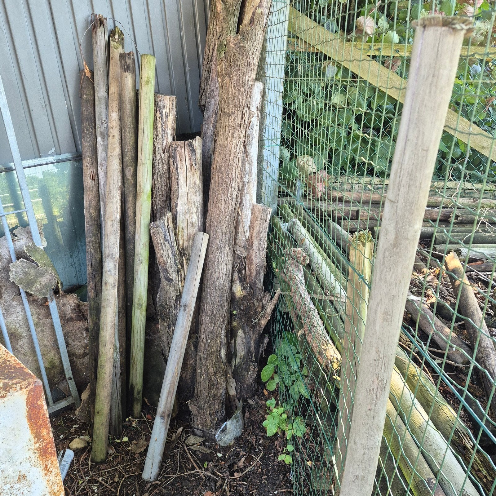 gratis  hout te verkrijgen, Ophalen