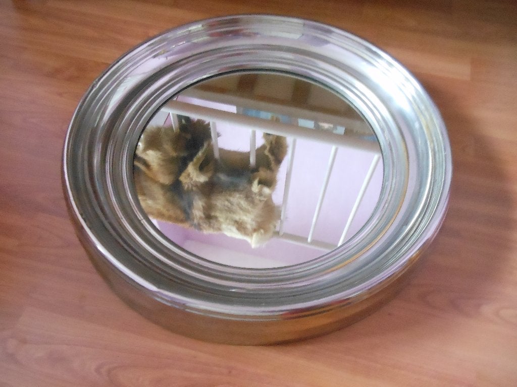 ancien miroir rond dit de navire, Enlèvement, Rond, 50 à 100 cm, Moins de 100 cm