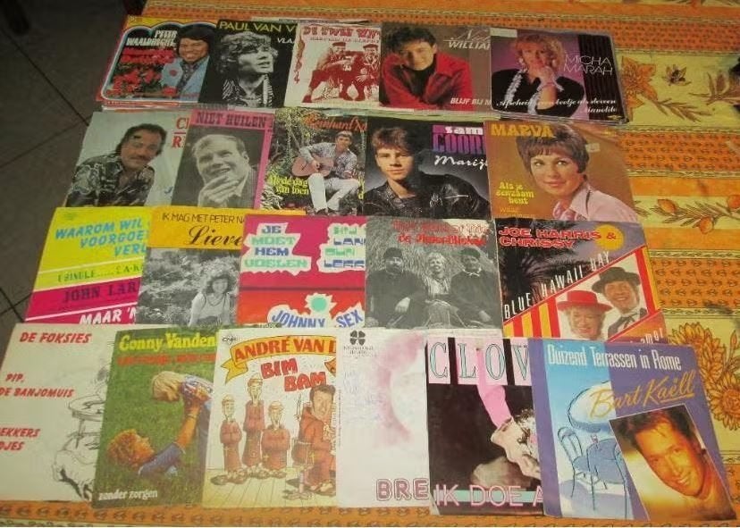 57 Prima nederlandstalige vinyl Singles, Ophalen of Verzenden, Zo goed als nieuw, Nederlandstalig