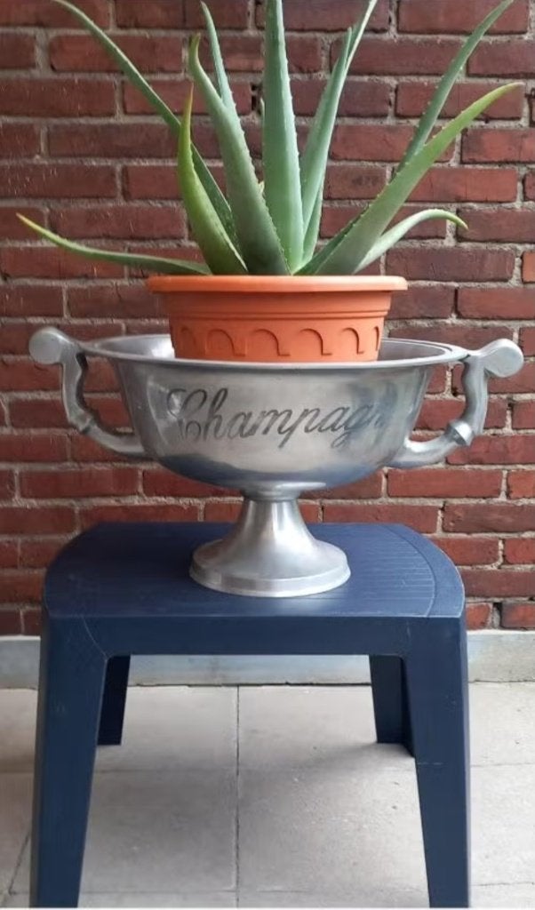 Zware Vintage Champagneschaal of Champagnekoeler op voet, Huis en Inrichting, Woonaccessoires | Wijnrekken, Ophalen, Gebruikt