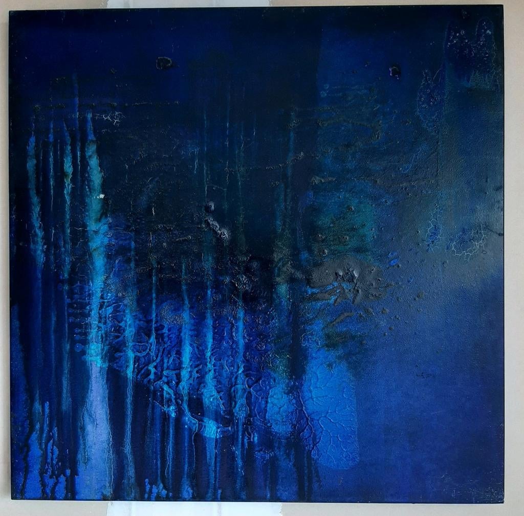 Kees de Vries, Enlèvement