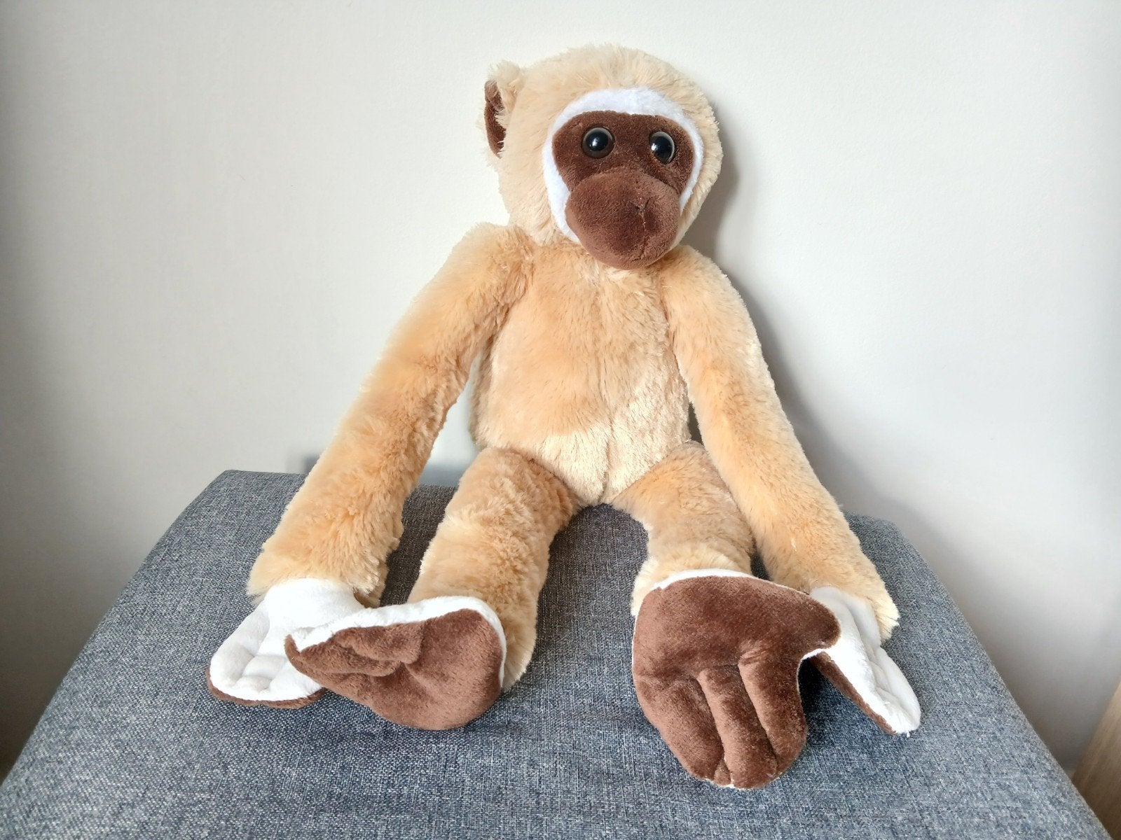 Peluche singe, Envoi, Singe