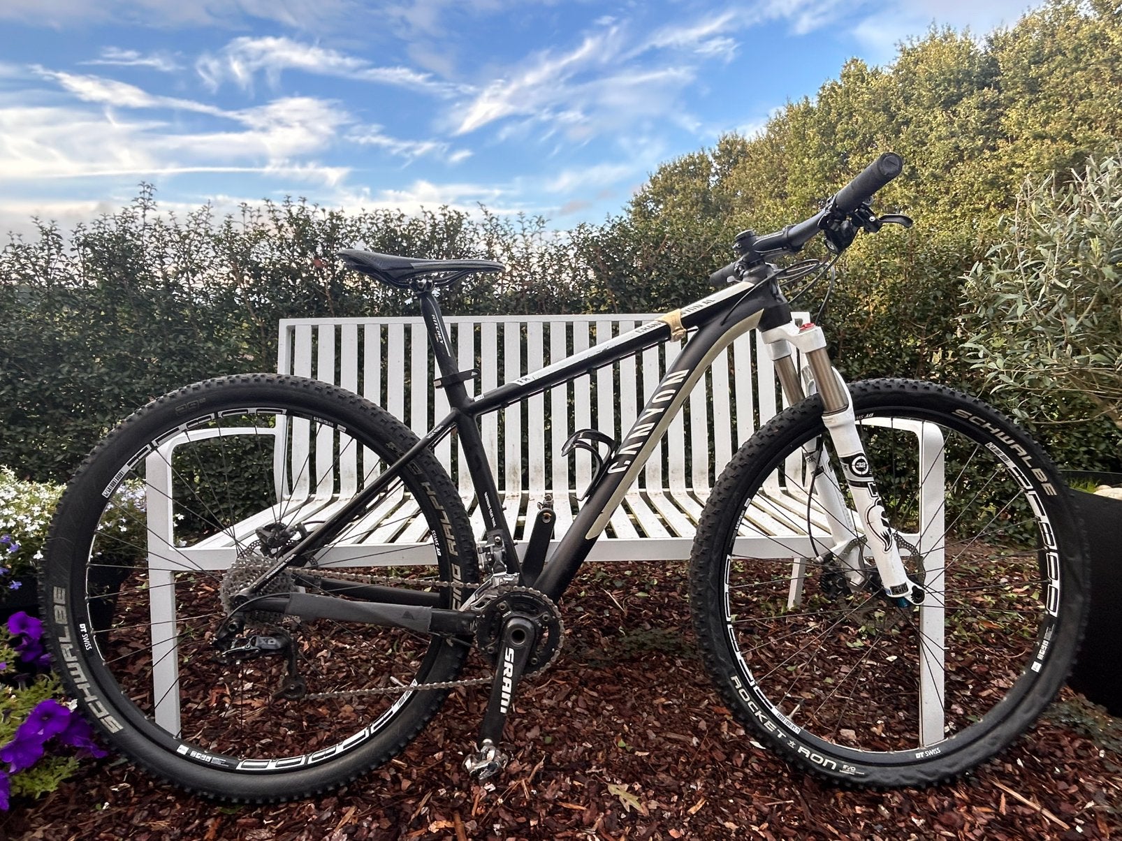 Canyon Mountainbike, Enlèvement, Utilisé, Frein à disque, Autres marques