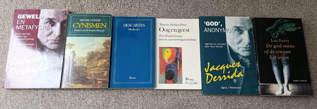 Filosofie bundel - Derrida, Merleau-Ponty, Descartes & nog, Boeken, Filosofie, Ophalen of Verzenden, Gelezen, Wijsbegeerte of Ethiek
