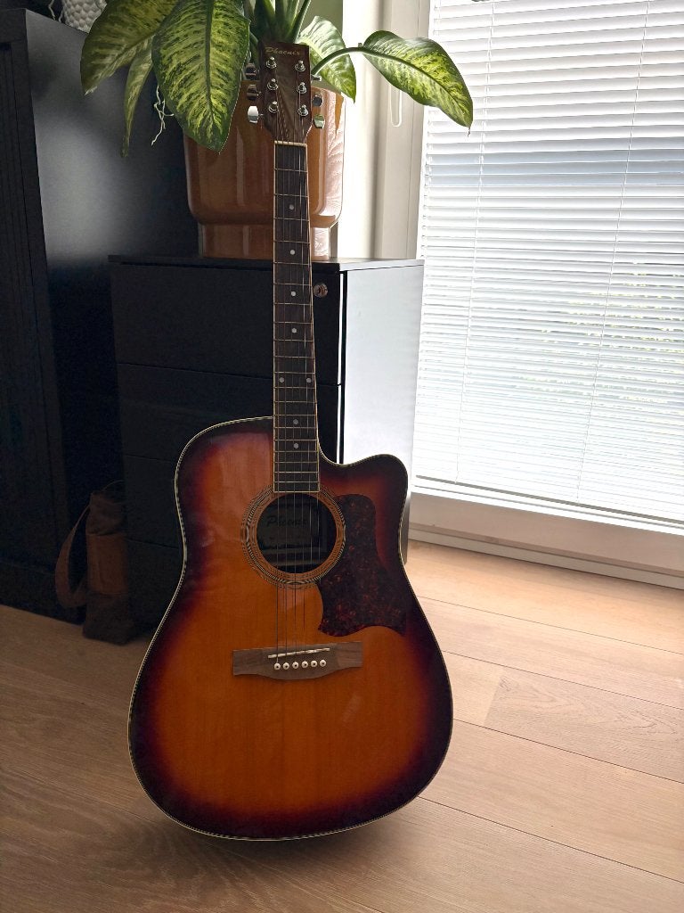 Akoestische gitaar, incl tas en stemkastje, Muziek en Instrumenten, Ophalen, Zo goed als nieuw, Western- of Steelstringgitaar