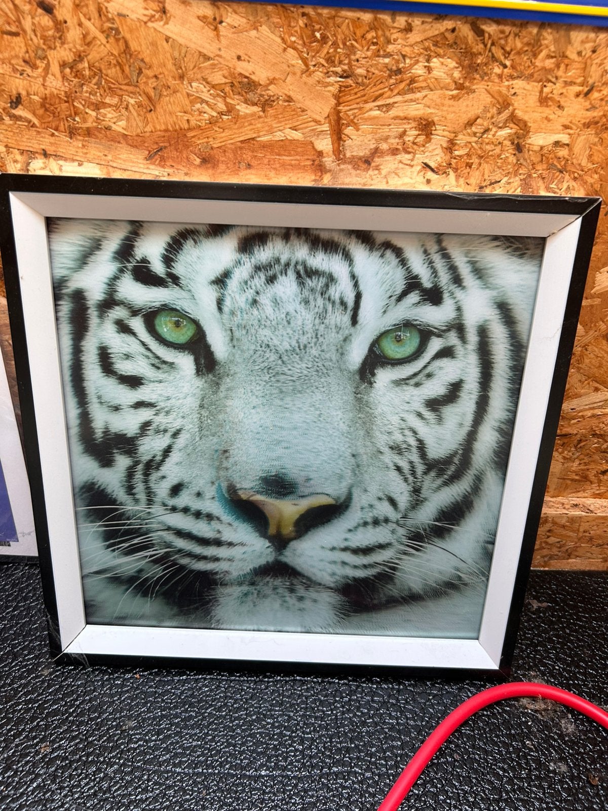 Hologramme du tigre, Enlèvement, Comme neuf