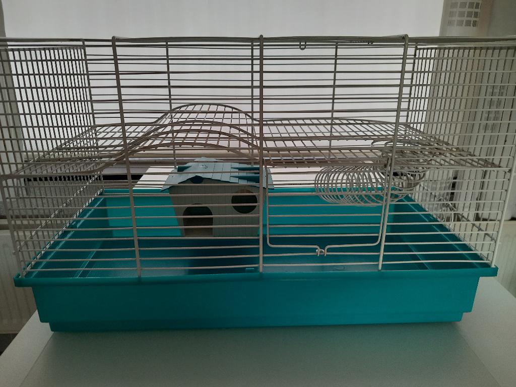 cage pour petit rongeurs (hamster), Dieren en Toebehoren, Kooi, Gebruikt, Minder dan 75 cm, Hamster