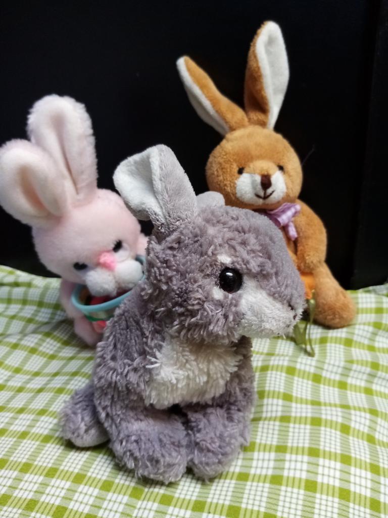 Lot de 3 peluches lapin, Ophalen of Verzenden, Gebruikt