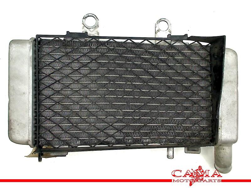 RADIATEUR LINKS Honda VFR 800 Fi 1998-2001 (VFR800Fi RC46), Dhr. S. di Majo, Gebruikt, Info@cama-motorparts.nl, P.J. Troelstraweg 8 8
3144 CX  MAASSLUIS, NL