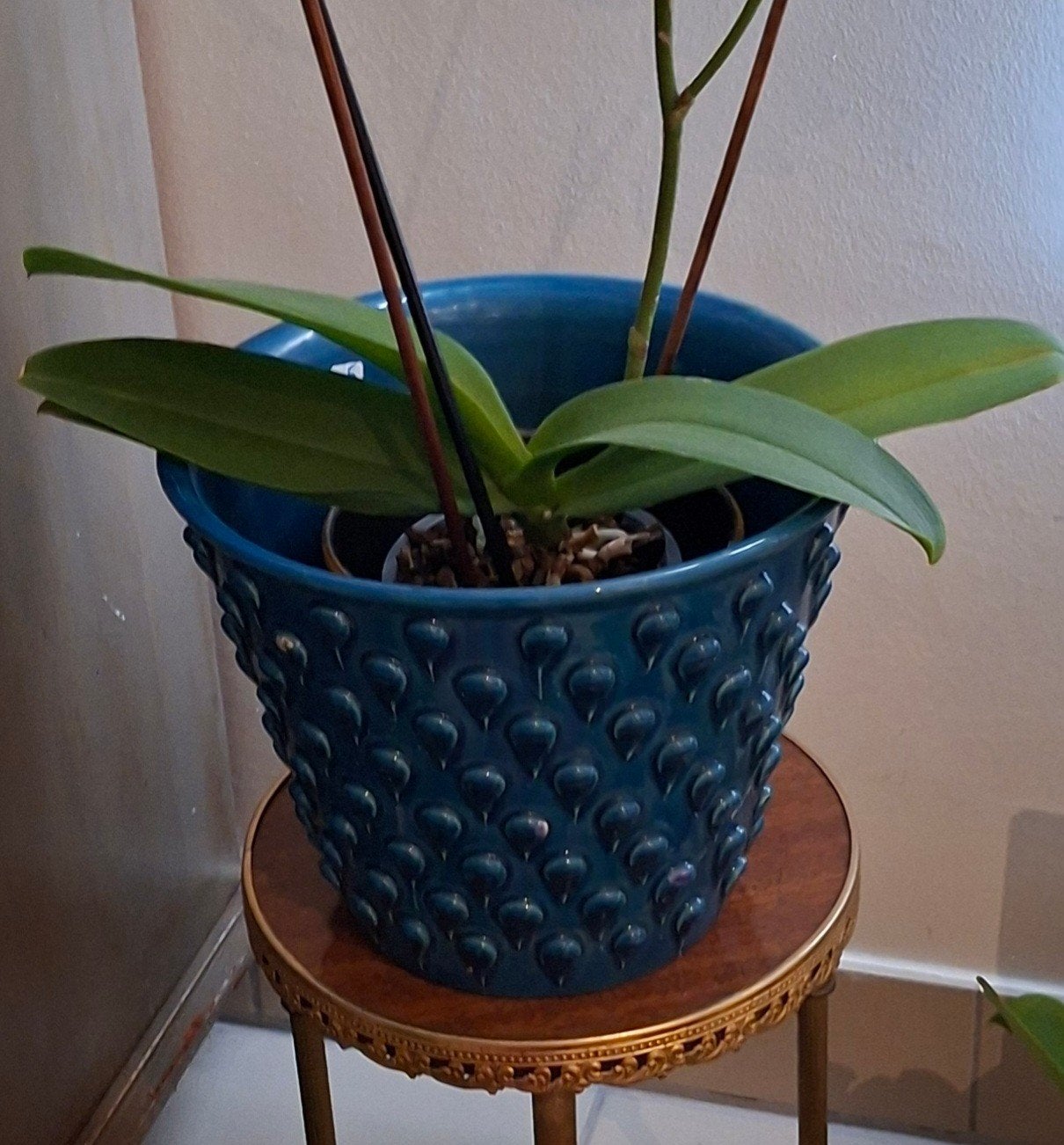 Magnifique pot de fleurs Bitossi avec gouttes, Enlèvement ou Envoi, Moins de 100 cm