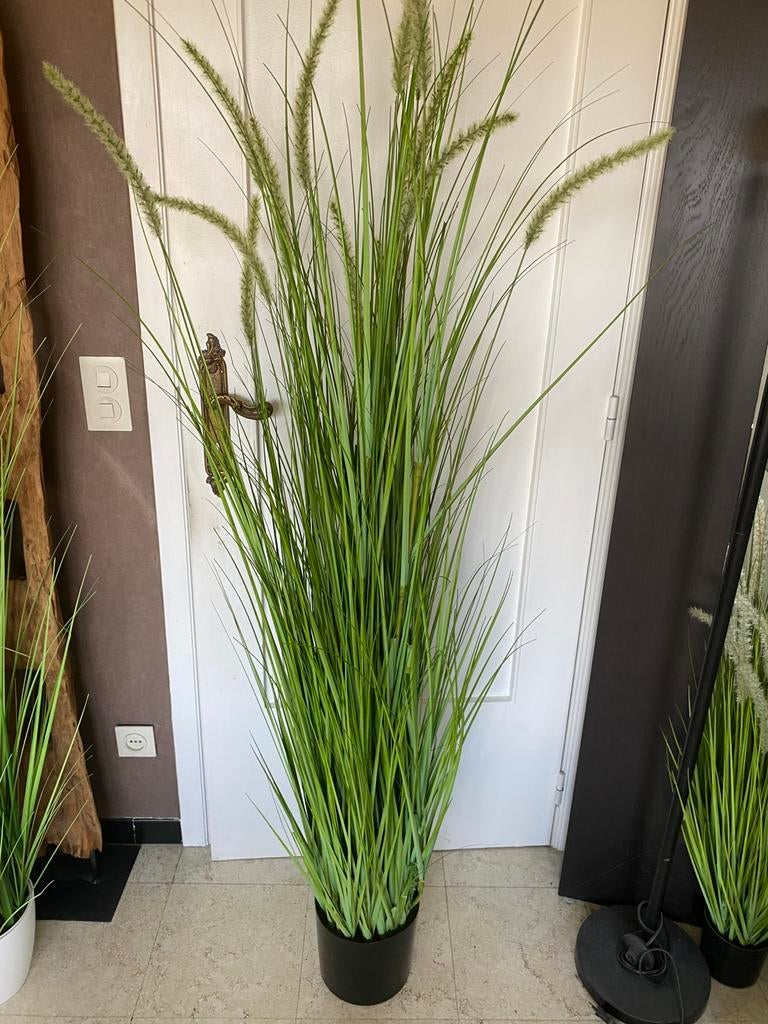 Kunstplanten nieuw, Ophalen, Kunstplant