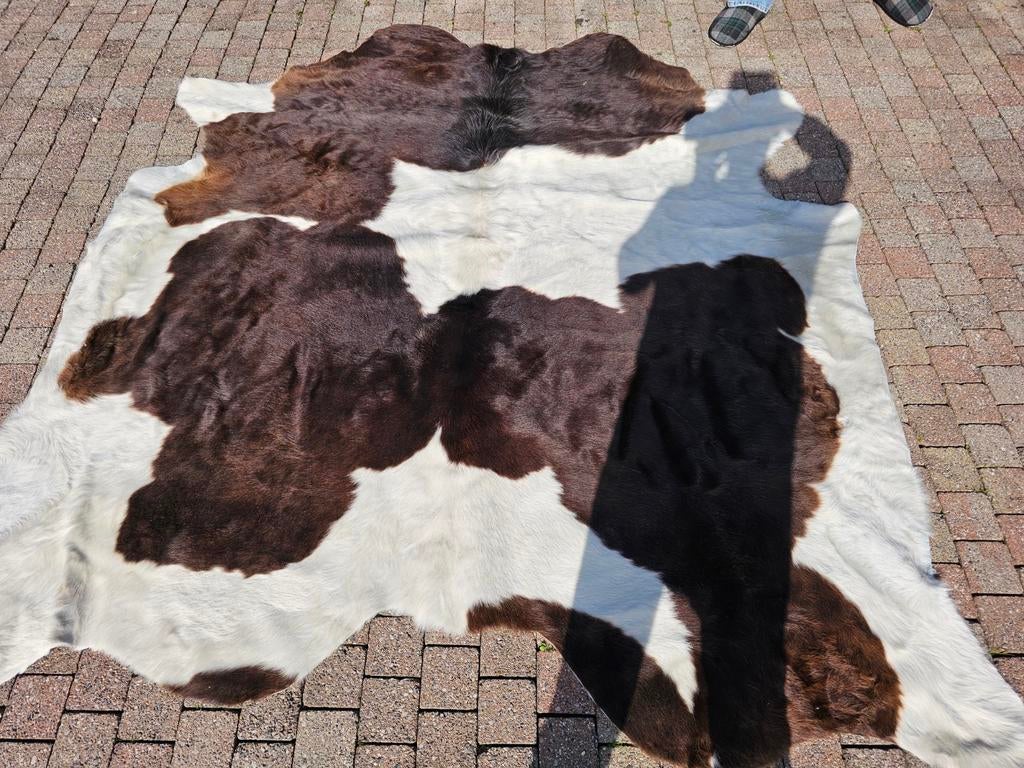 Koeienhuid Vloerkleed -groot, Antiek en Kunst, Ophalen of Verzenden