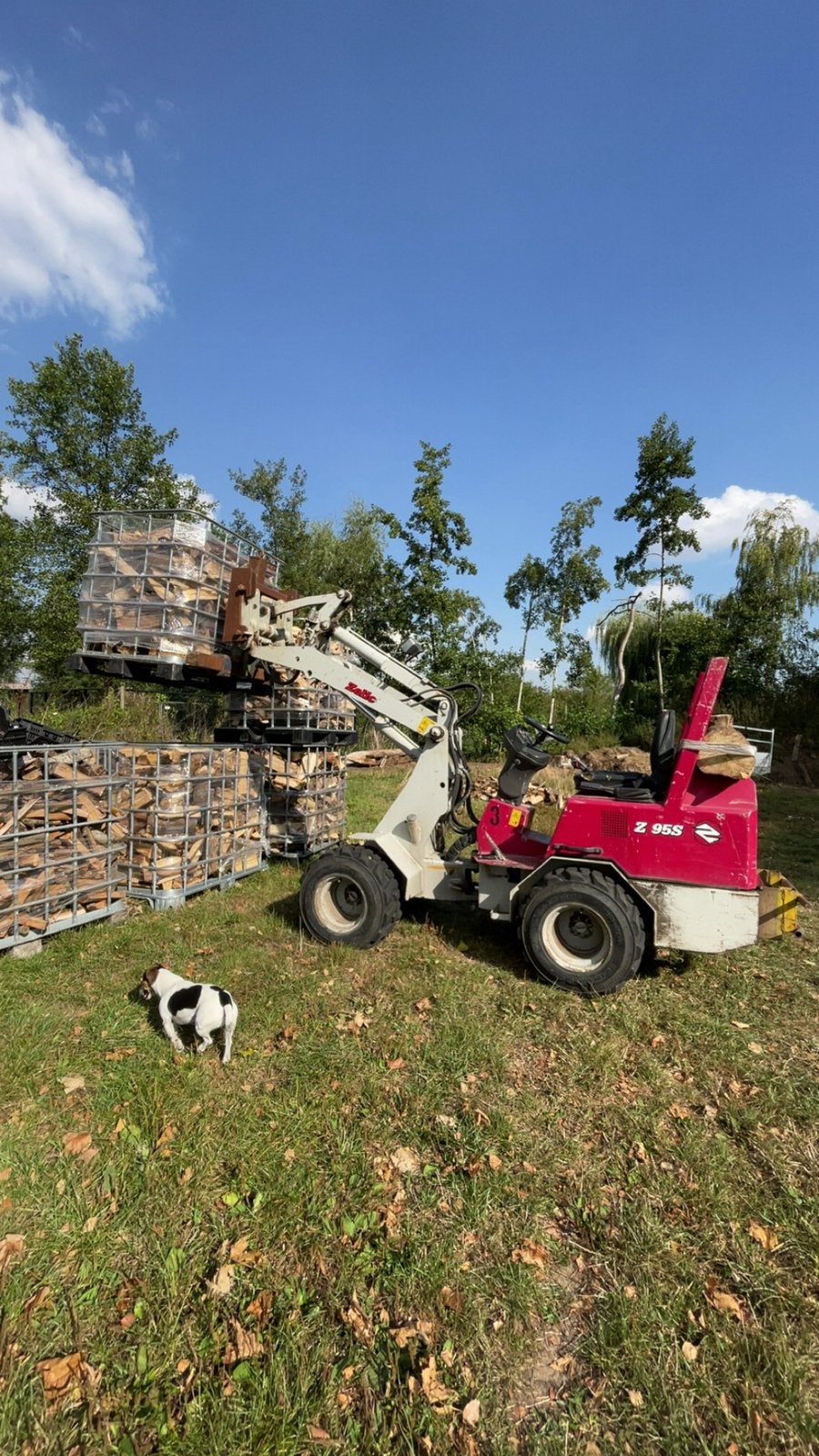 BRANDHOUT EIK/HAAGBEUK‼️, 6 m³ of meer, Ophalen of Verzenden, Eikenhout, Blokken