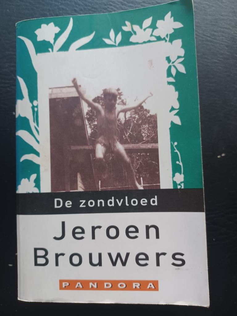 Jeroen Brouwers - Le déluge, Livres, Enlèvement, Jeroen Brouwers