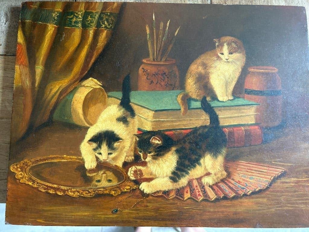 Schilderij van poesjes, Ophalen, Ingelijst, Dieren, Paneel