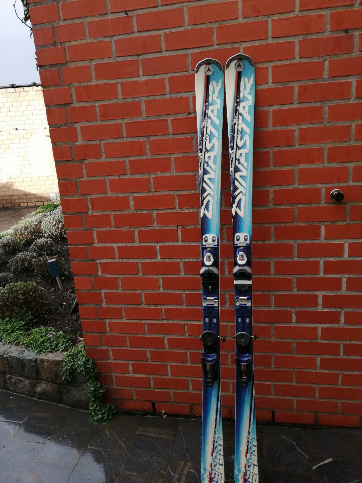 skies van het merk Dynastar, Sport en Fitness, 160 tot 180 cm, Gebruikt, Carve, Ophalen