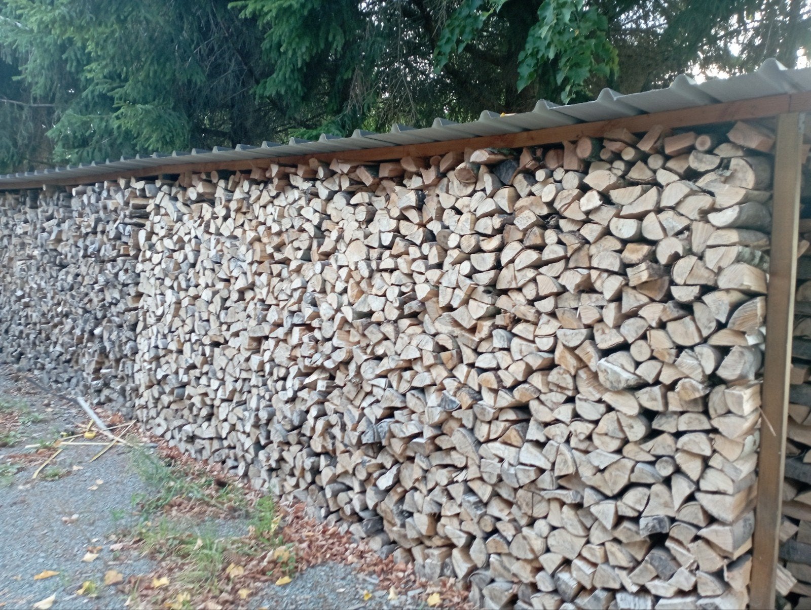 bois de chauffage, Jardin & Terrasse, Enlèvement ou Envoi, Hêtre