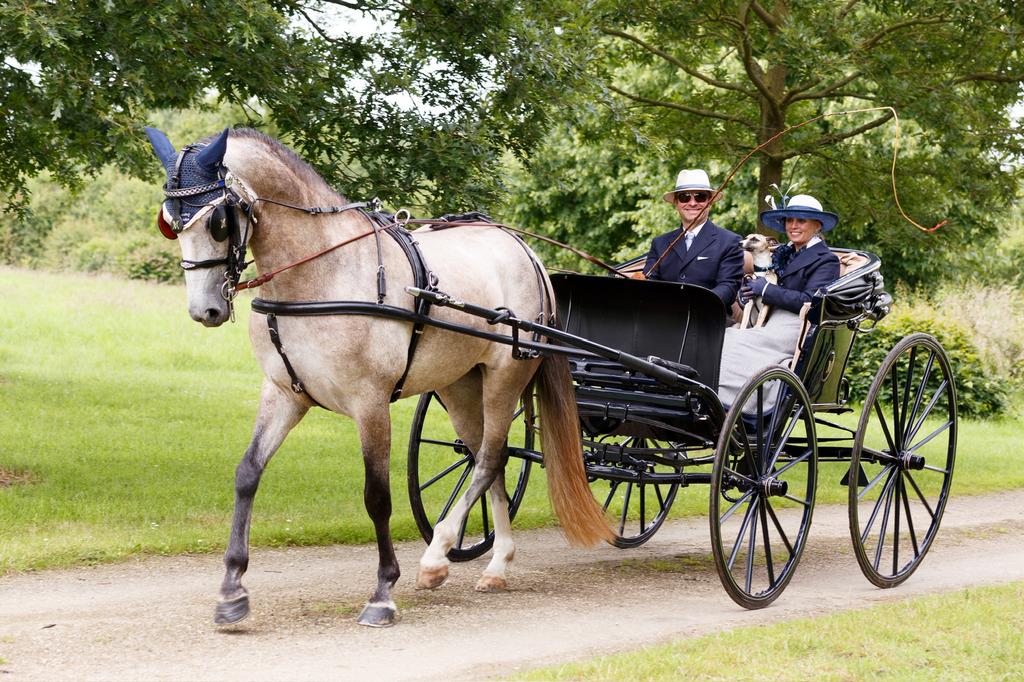 Authentieke Goddard Buggy, Animaux & Accessoires, Chevaux & Poneys | Brides & Harnachement, Utilisé, Autres espèces, Enlèvement
