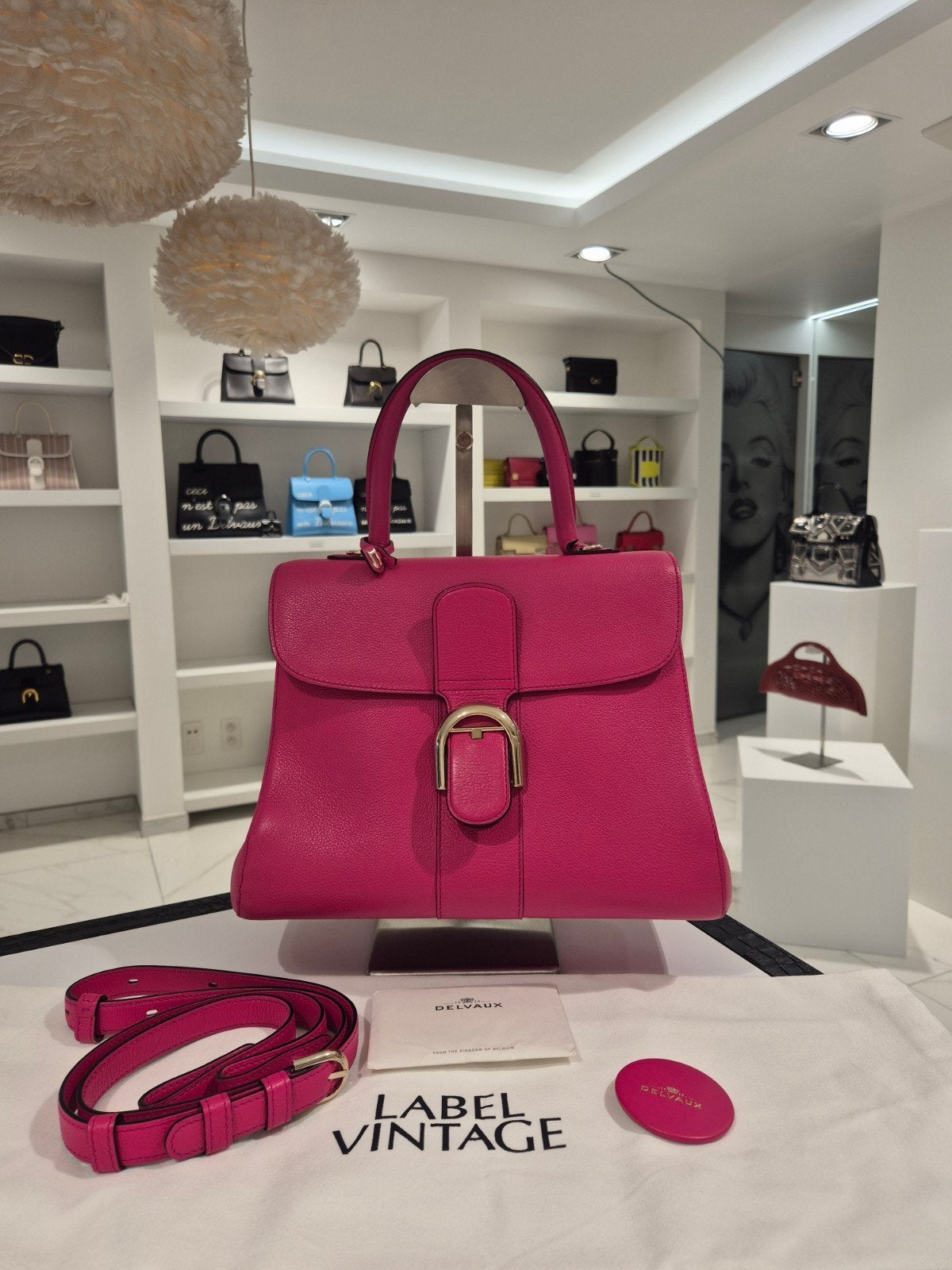 Delvaux Brillant MM Indien Rose, Handtassen en Accessoires, Ophalen, Zo goed als nieuw, Roze