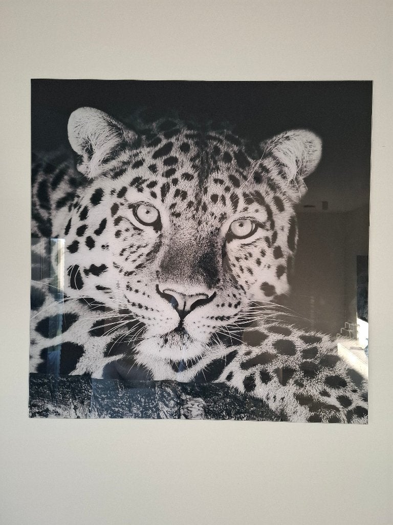 Modern glazen (foto)  luipaard 80x80!, Huis en Inrichting, Ophalen, 80 cm, Decoratieobject, Zo goed als nieuw