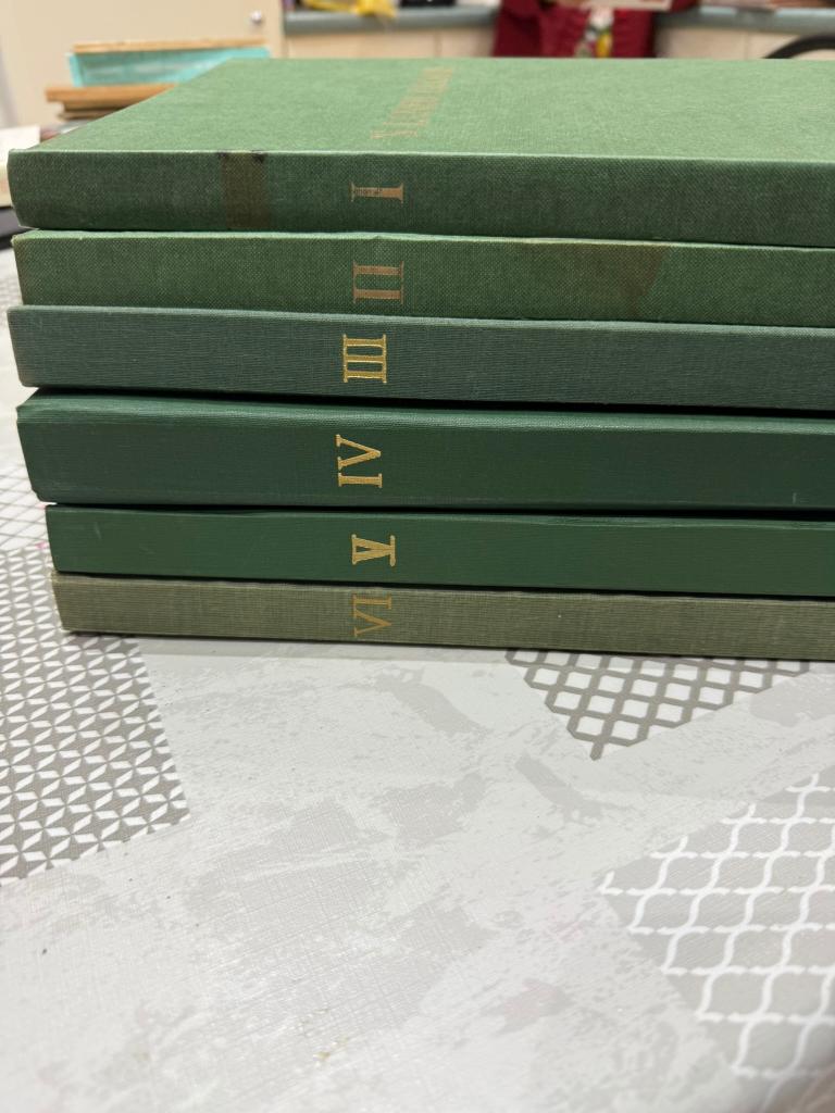 's Lands glorie, 6 delen *volledig*, Boeken, Prentenboeken en Plaatjesalbums, Ophalen of Verzenden, Gelezen, Prentenboek