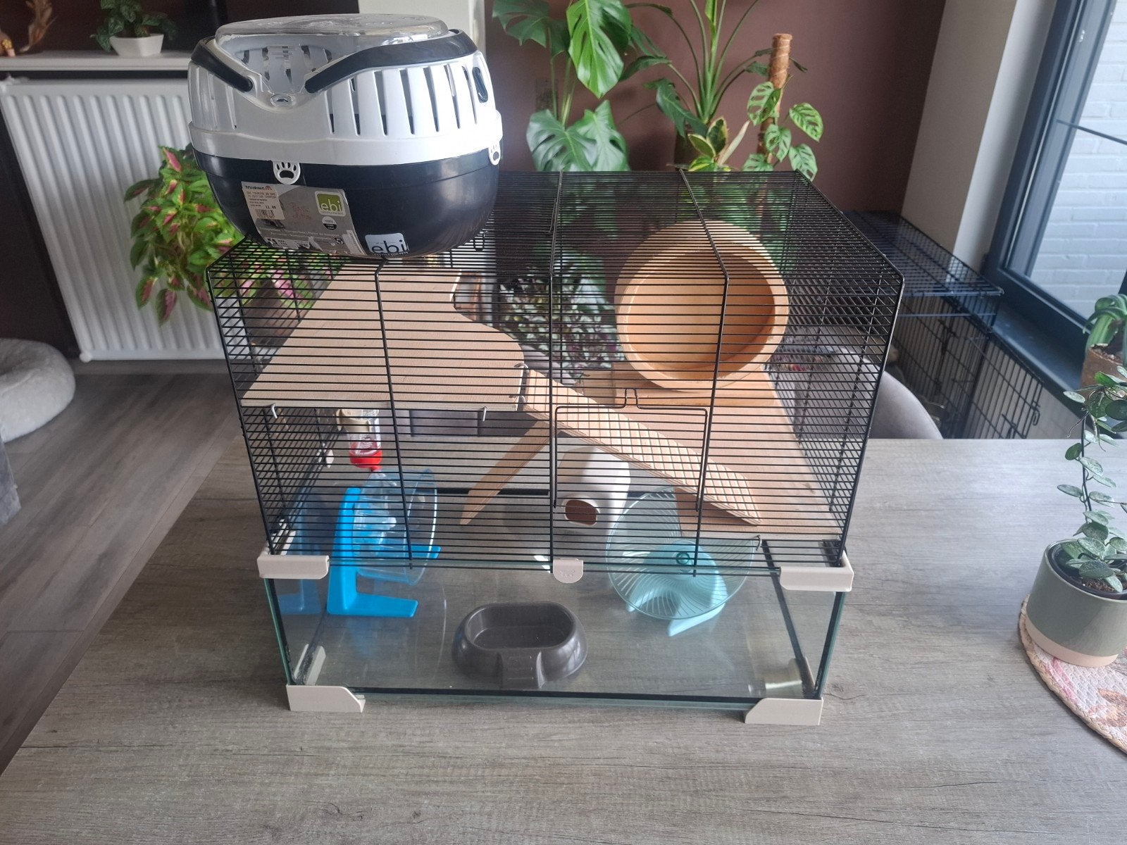 ferplast karat 60, Dieren en Toebehoren, Knaagdieren en Konijnen | Hokken en Kooien, Ophalen